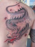 DRAGAO